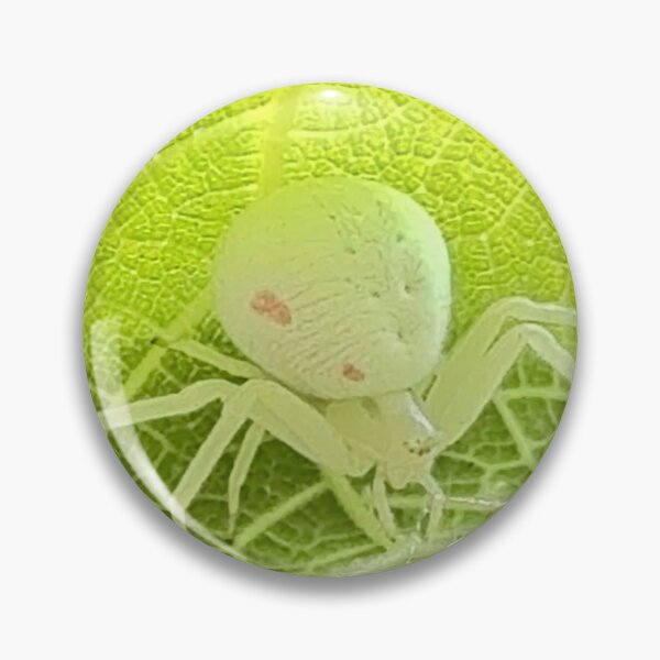 Item preview, Spider on fig leaf designed and sold by Kistitka.