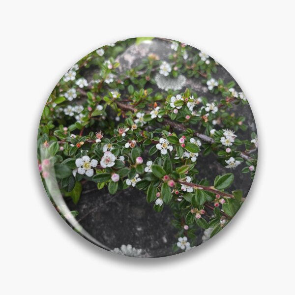 Item preview, Flowers on the stones designed and sold by RubenTerre.
