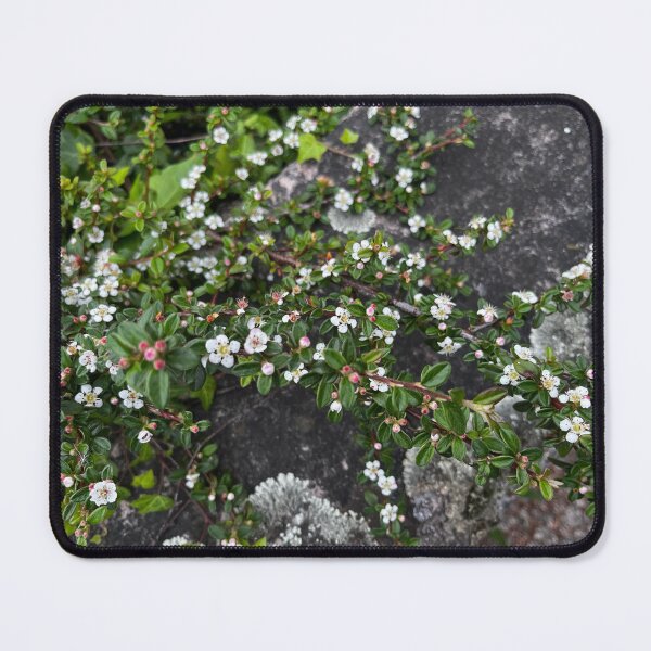Item preview, Flowers on the stones designed and sold by RubenTerre.