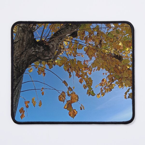 Item preview, Golden Autumn Tree Canopy Over Ocean Sky designed and sold by EpicVistas.