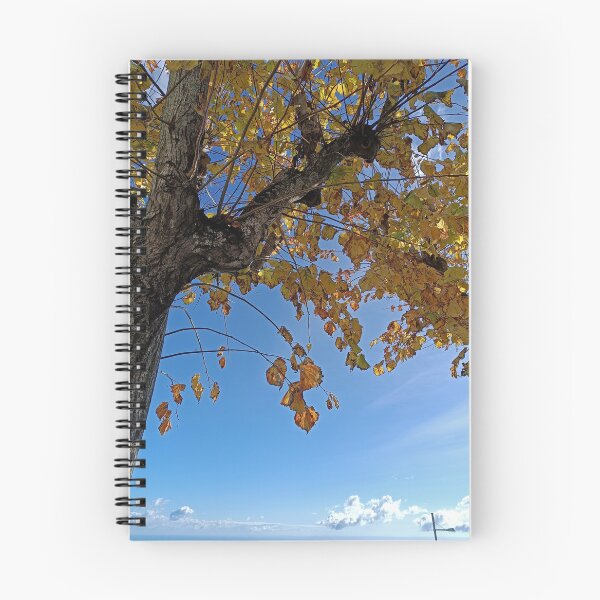 Item preview, Golden Autumn Tree Canopy Over Ocean Sky designed and sold by EpicVistas.