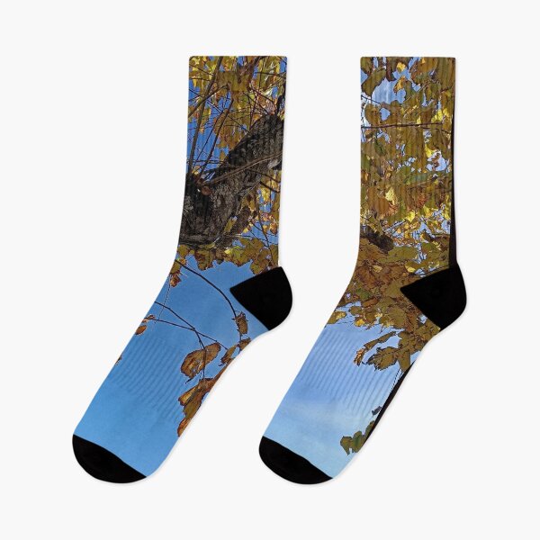 Item preview, Golden Autumn Tree Canopy Over Ocean Sky designed and sold by EpicVistas.