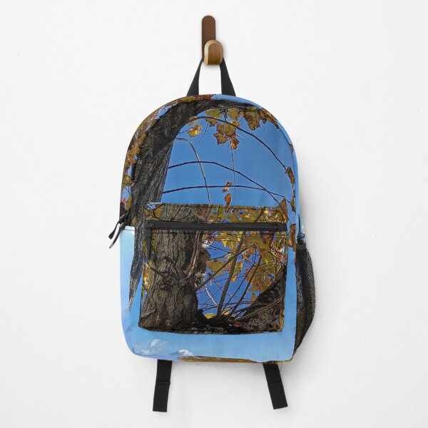 Item preview, Golden Autumn Tree Canopy Over Ocean Sky designed and sold by EpicVistas.