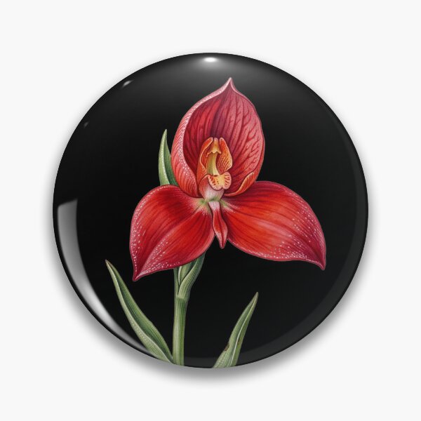 Item preview, Disa Uniflora - Pride of Table Mountain Red Orchid Botanical Print designed and sold by FreiherrPK.