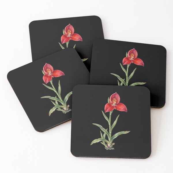 Item preview, Disa Uniflora - Pride of Table Mountain Red Orchid Botanical Print designed and sold by FreiherrPK.