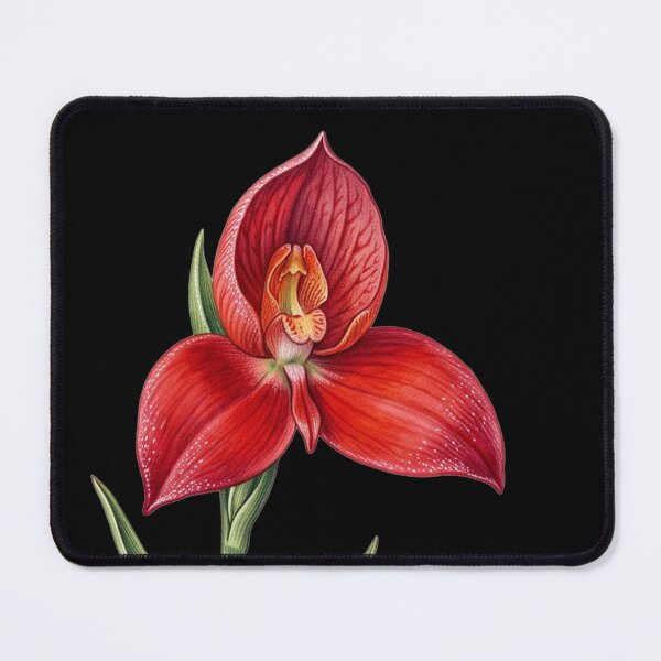 Item preview, Disa Uniflora - Pride of Table Mountain Red Orchid Botanical Print designed and sold by FreiherrPK.