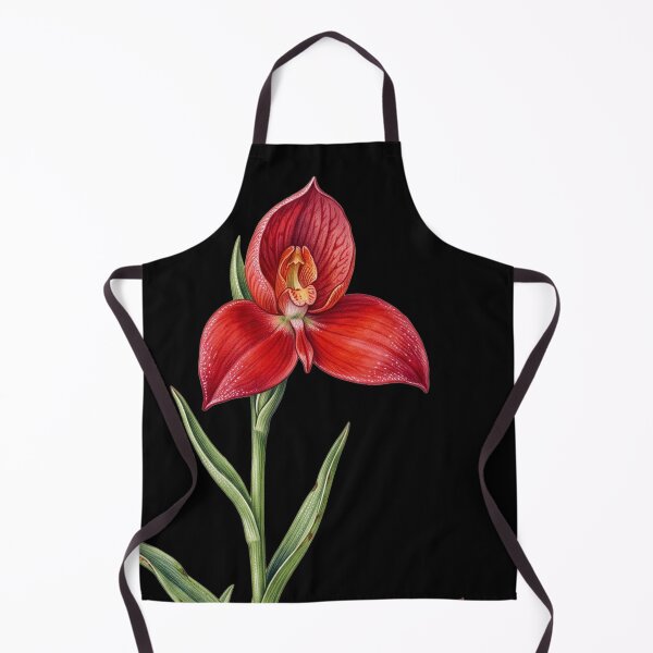 Item preview, Disa Uniflora - Pride of Table Mountain Red Orchid Botanical Print designed and sold by FreiherrPK.
