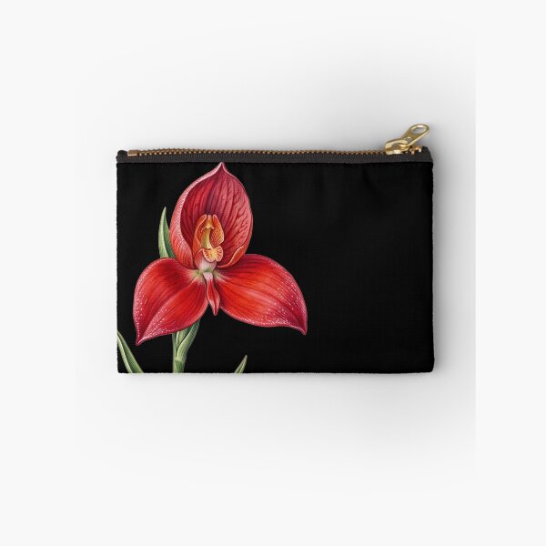 Item preview, Disa Uniflora - Pride of Table Mountain Red Orchid Botanical Print designed and sold by FreiherrPK.