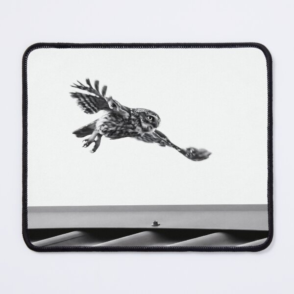 Item preview, Owl in Flight Black and White Wildlife Action designed and sold by ElinaArtPhoto.