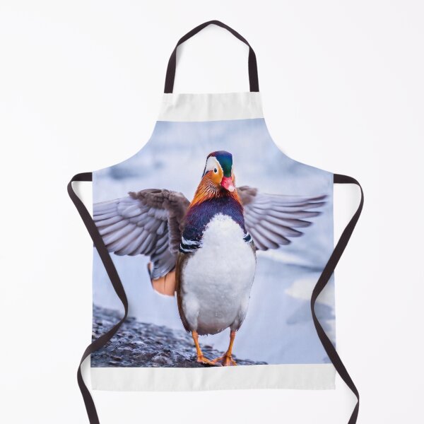 Aperçu de l'œuvre Canard mandarin déployant ses ailes en hiver créée et vendue par ElinaArtPhoto.