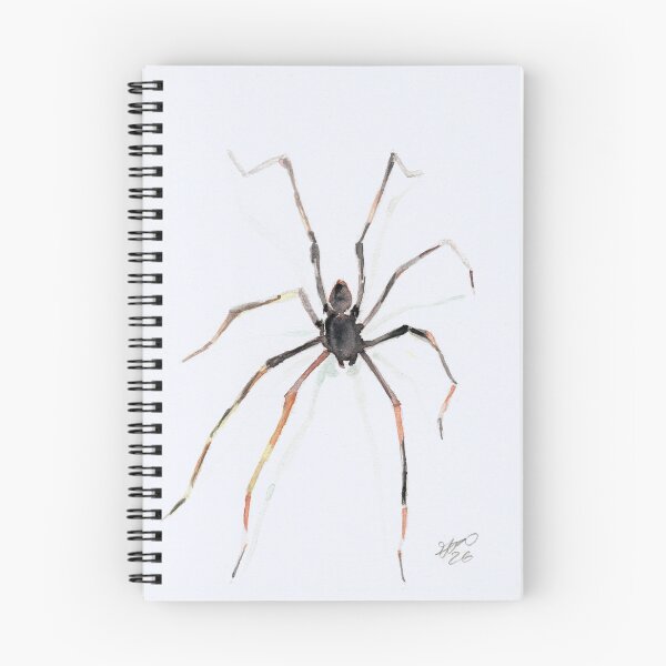 Artikelvorschau, Spider #1 entworfen und verkauft von Frederick James Norman.