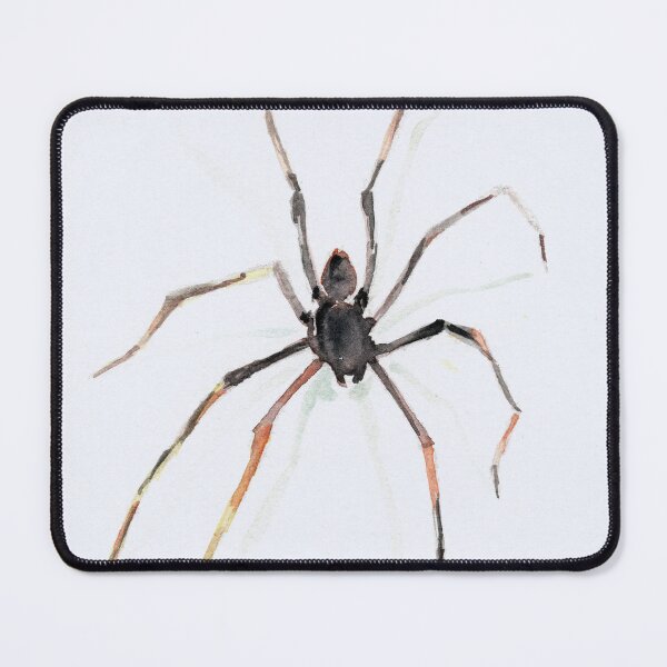 Item preview, Spider #1 designed and sold by Frederick James Norman.