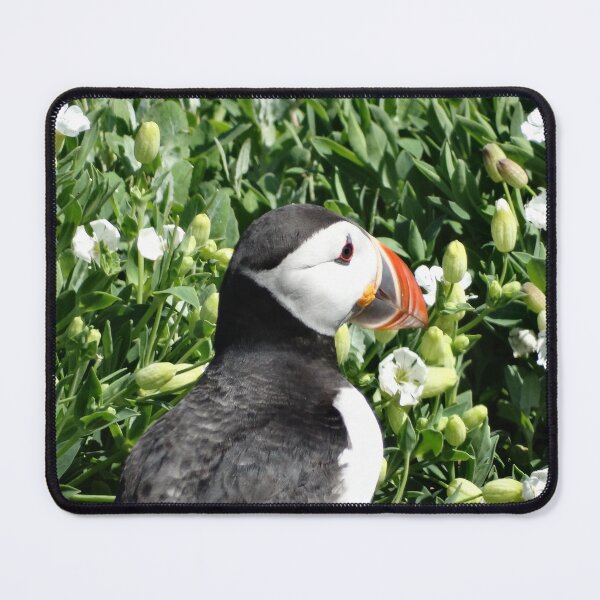 Item preview, Atlantic Puffin portrait with white flowers designed and sold by TwistedClassics.