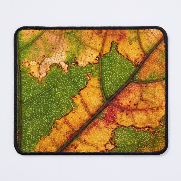 Item preview, The Season Was Mid-Sentence designed and sold by ASSEMBLE WONDER.