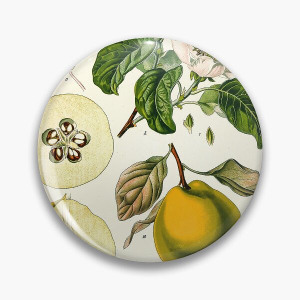 Item preview, Kohler's Medicinal Plants 1887 II designed and sold by Gilmour-Prints.
