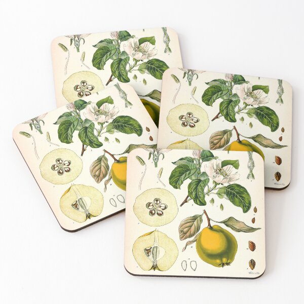 Item preview, Kohler's Medicinal Plants 1887 II designed and sold by Gilmour-Prints.
