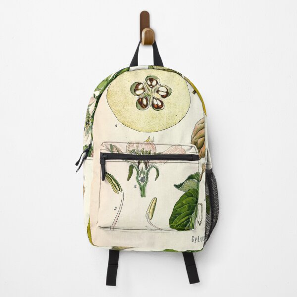 Item preview, Kohler's Medicinal Plants 1887 II designed and sold by Gilmour-Prints.