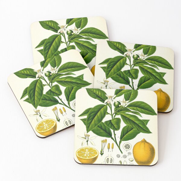 Item preview, Vintage Botanical Print No. 3 1887 designed and sold by Gilmour-Prints.
