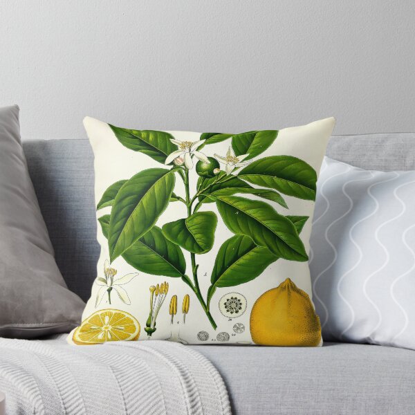 Item preview, Vintage Botanical Print No. 3 1887 designed and sold by Gilmour-Prints.