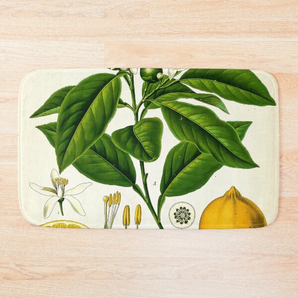 Item preview, Vintage Botanical Print No. 3 1887 designed and sold by Gilmour-Prints.