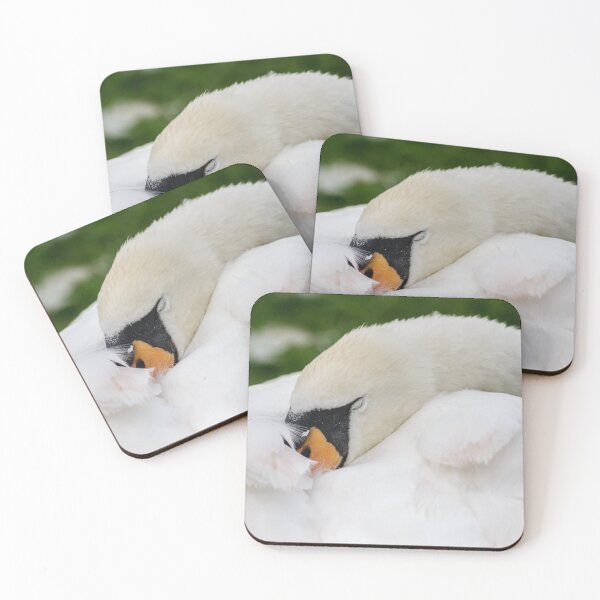 Item preview, Sleeping Swan designed and sold by heidipics.