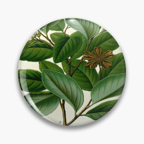 Item preview, Kohler's Medicinal Plants 1887 III designed and sold by Gilmour-Prints.
