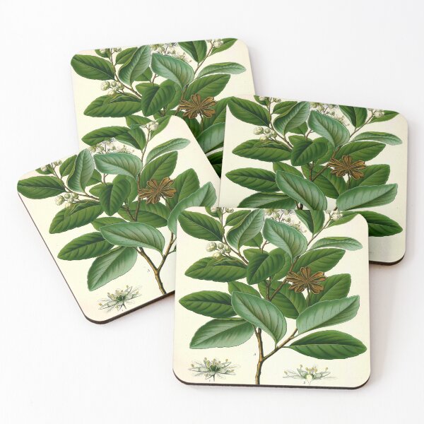 Item preview, Kohler's Medicinal Plants 1887 III designed and sold by Gilmour-Prints.