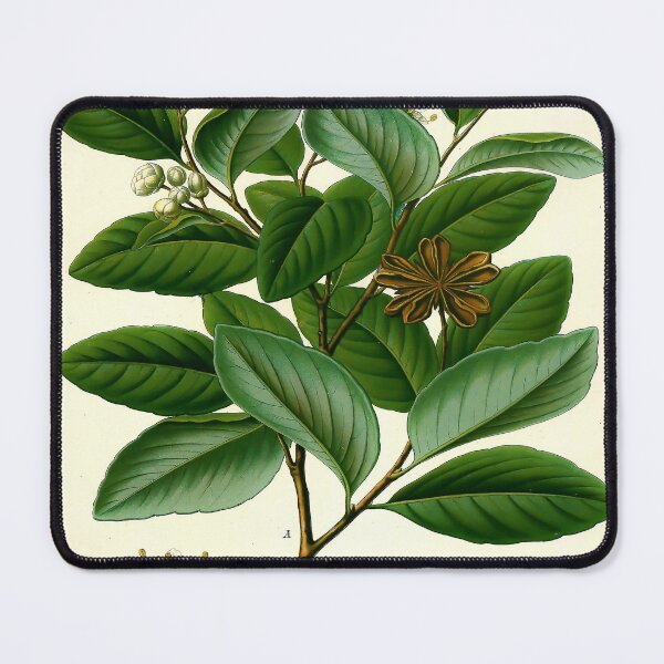 Item preview, Kohler's Medicinal Plants 1887 III designed and sold by Gilmour-Prints.