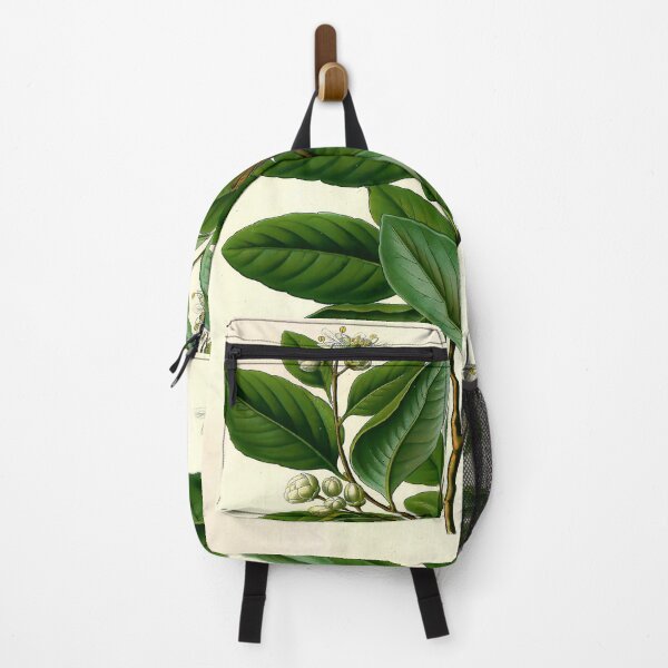 Item preview, Kohler's Medicinal Plants 1887 III designed and sold by Gilmour-Prints.