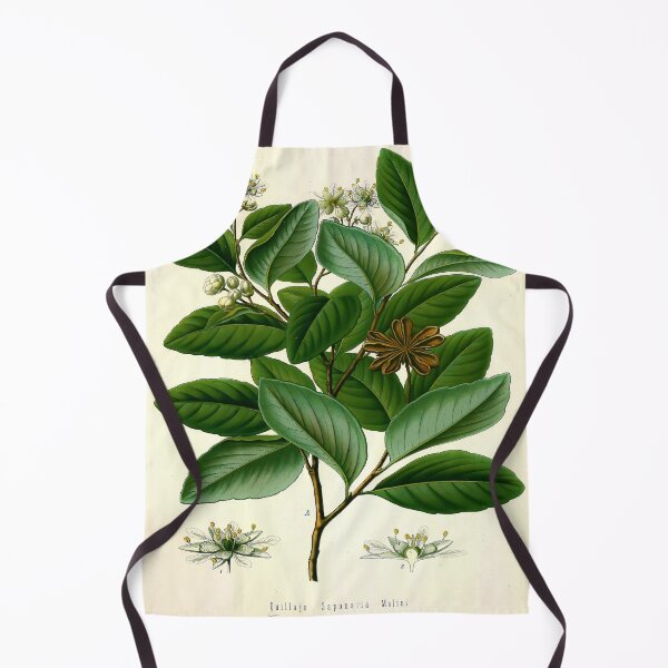Item preview, Kohler's Medicinal Plants 1887 III designed and sold by Gilmour-Prints.