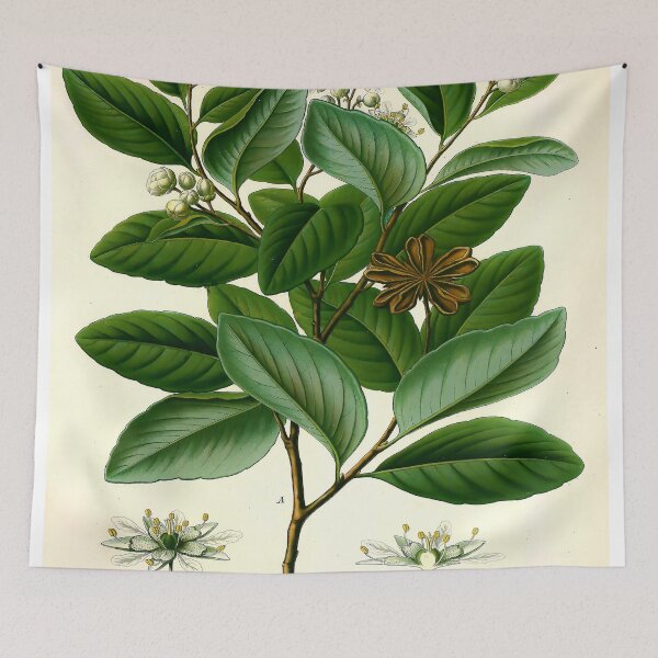 Item preview, Kohler's Medicinal Plants 1887 III designed and sold by Gilmour-Prints.