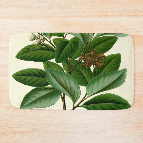 Item preview, Kohler's Medicinal Plants 1887 III designed and sold by Gilmour-Prints.