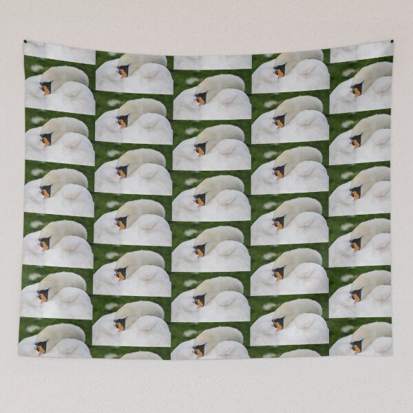 Item preview, Sleeping Swan designed and sold by heidipics.