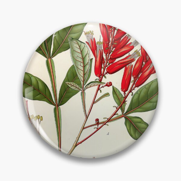Item preview, Antique Botanical Illustration No. 151 1887 designed and sold by Gilmour-Prints.