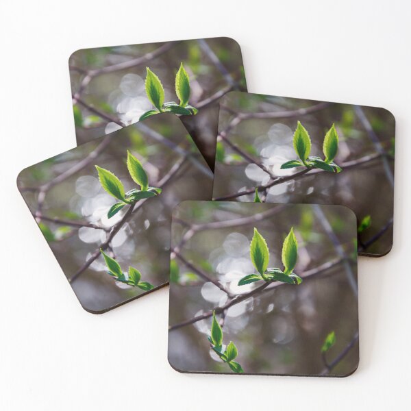 Item preview, Fresh Spring Leaves – Sunlight Bokeh Macro designed and sold by ShotsbyDesiree.