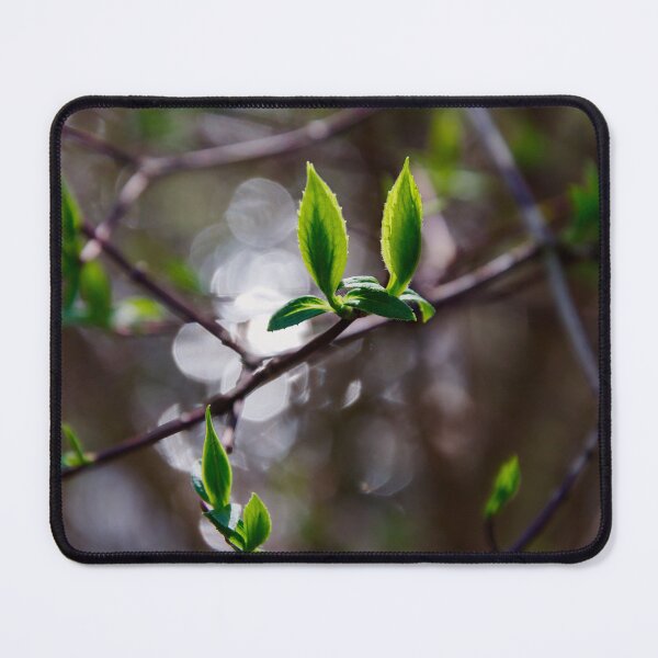 Item preview, Fresh Spring Leaves – Sunlight Bokeh Macro designed and sold by ShotsbyDesiree.