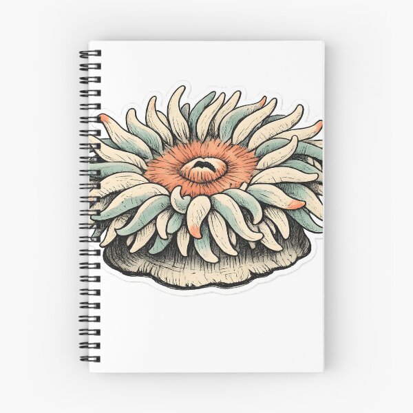 Item preview, Hand Drawn Tidepool Sea Anemone Marine Life Art designed and sold by Naviora.