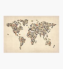 Lámina fotográfica Mapa de gatos del mapa mundial