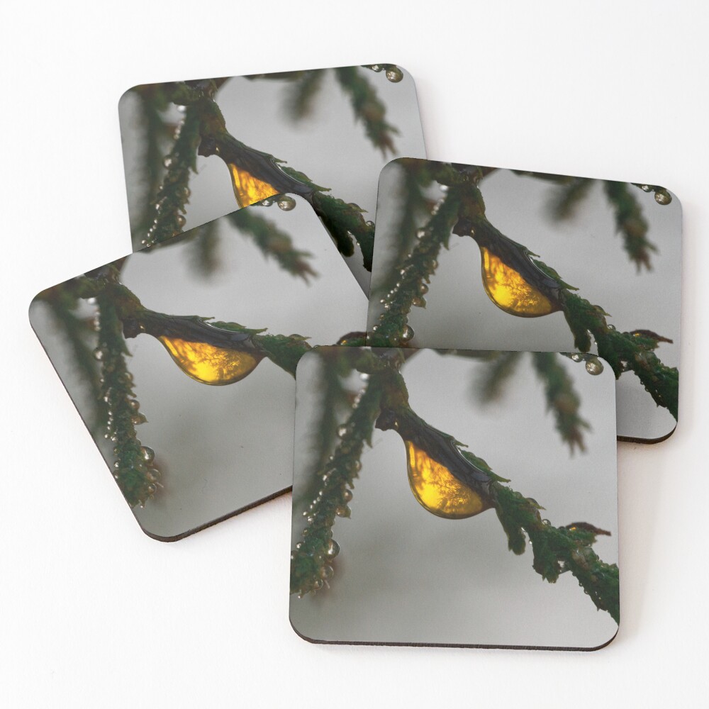 Item preview, Coasters (Set of 4) designed and sold by RalphGoldsmith.