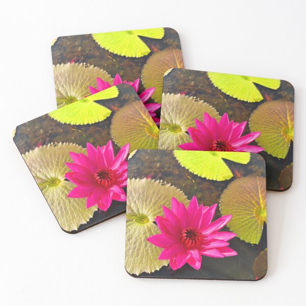 Item preview, Pink Lotus Flower Blooming, Tropical Water Lily designed and sold by BlossoraStudio.