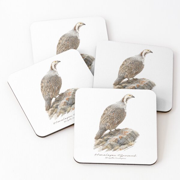 Item preview, Himalayan Snowcock on Rock Bird Illustration designed and sold by Takeda-art.