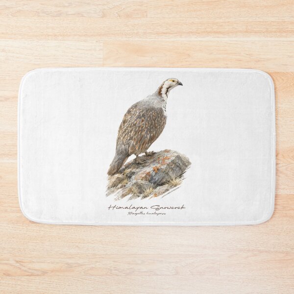 Item preview, Himalayan Snowcock on Rock Bird Illustration designed and sold by Takeda-art.