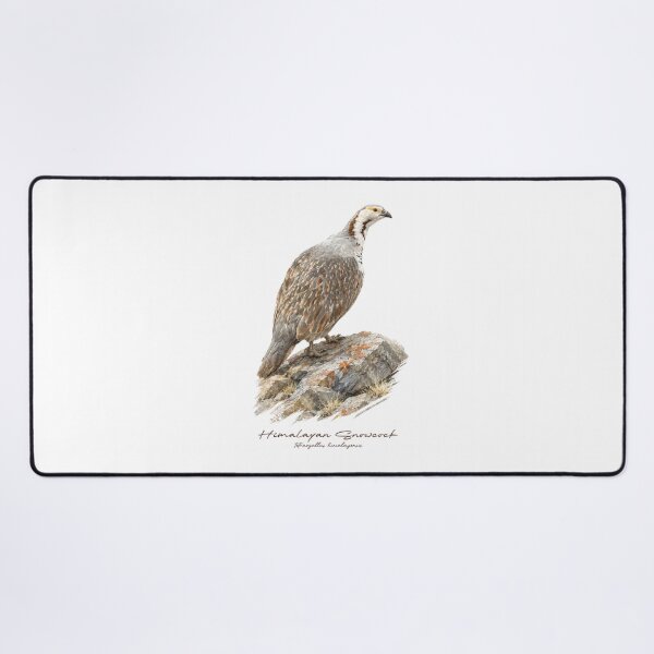 Item preview, Himalayan Snowcock on Rock Bird Illustration designed and sold by Takeda-art.
