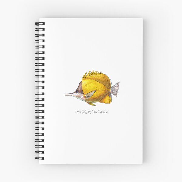 Item preview, Yellow Longnose Butterflyfish with Scientific Name - Watercolor Illustration designed and sold by AquarellChill.