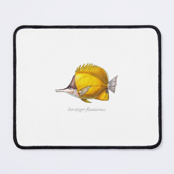 Item preview, Yellow Longnose Butterflyfish with Scientific Name - Watercolor Illustration designed and sold by AquarellChill.
