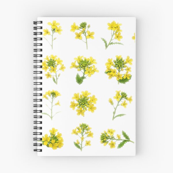 Item preview, Yellow Mustard Flower Botanical Set Canola Blossom Floral Aesthetic Sticker pack Sheet designed and sold by Rehnair.