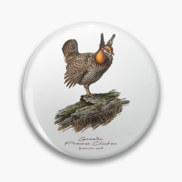 Item preview, Greater Prairie Chicken on Mossy Log Bird Illustration designed and sold by Takeda-art.