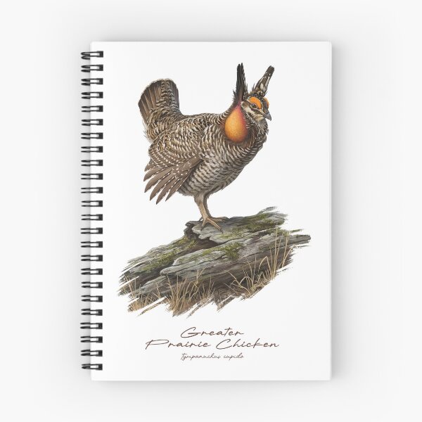 Item preview, Greater Prairie Chicken on Mossy Log Bird Illustration designed and sold by Takeda-art.