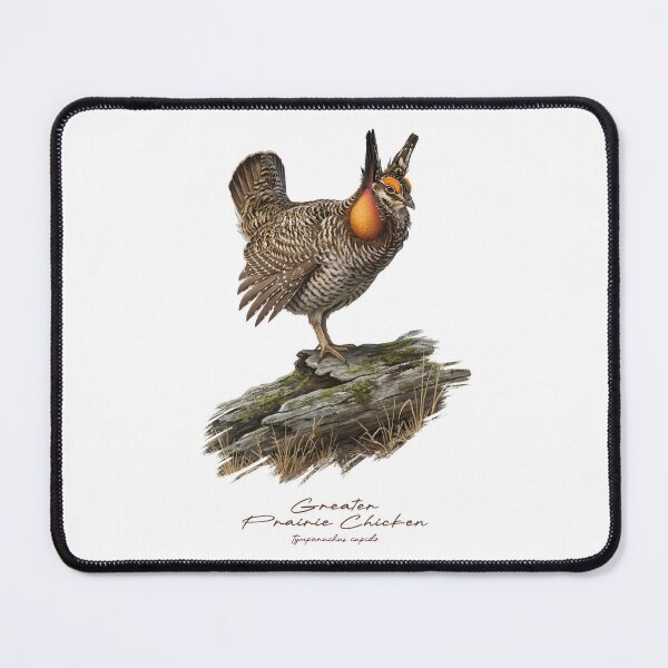 Item preview, Greater Prairie Chicken on Mossy Log Bird Illustration designed and sold by Takeda-art.