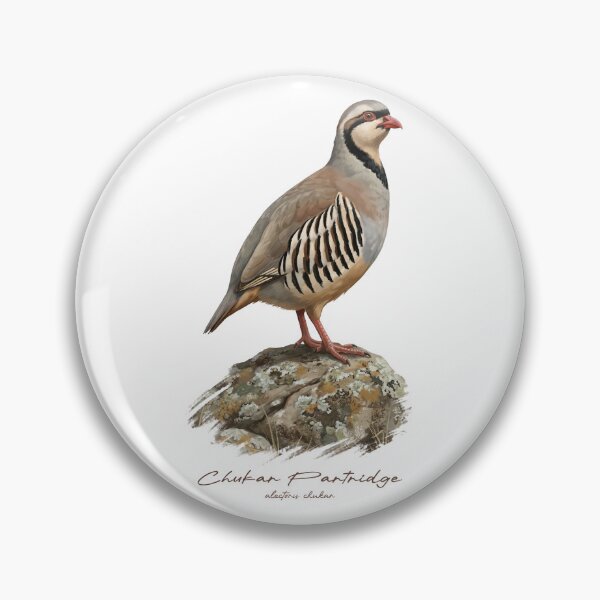 Item preview, Chukar Partridge on Rustic Rock Bird Illustration designed and sold by Takeda-art.